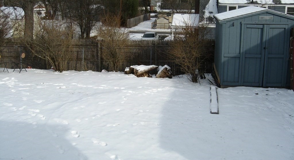 95 Grandview Street Springfield, MA 01118 - Photo 30 of 30 a backyard of a house with barbeque oven