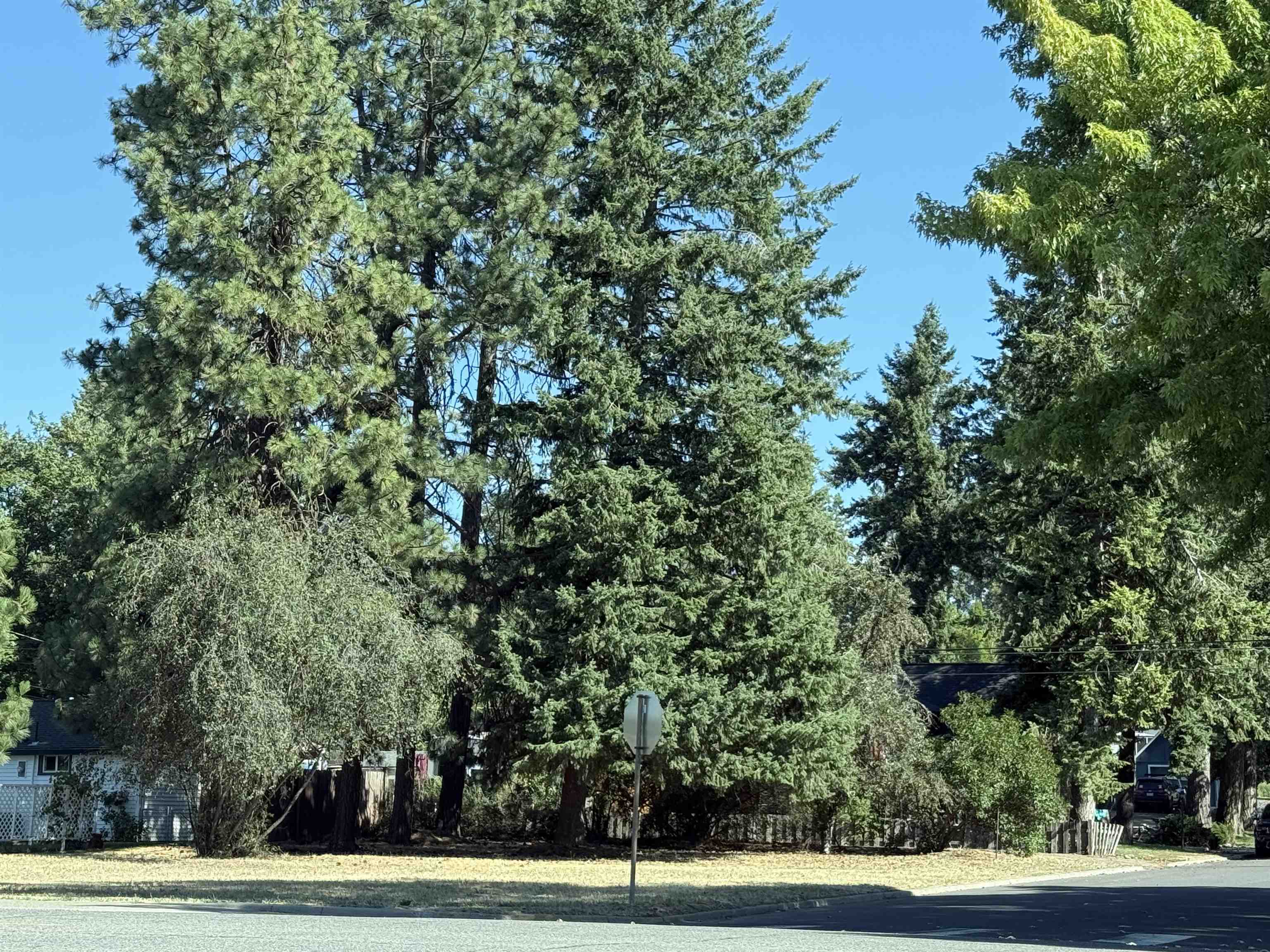 Nka Salnave Road Cheney, WA 99004 - Photo 3 of 3 Gallery Image 3