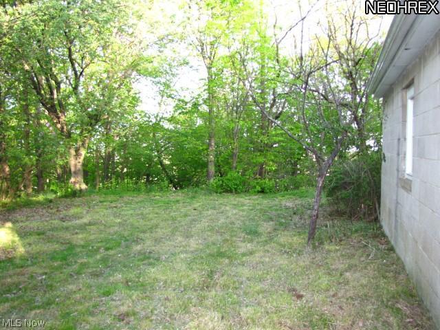 1952 Ridgehill Road Cleveland, OH 44121 - Photo 18 of 21 Backyard