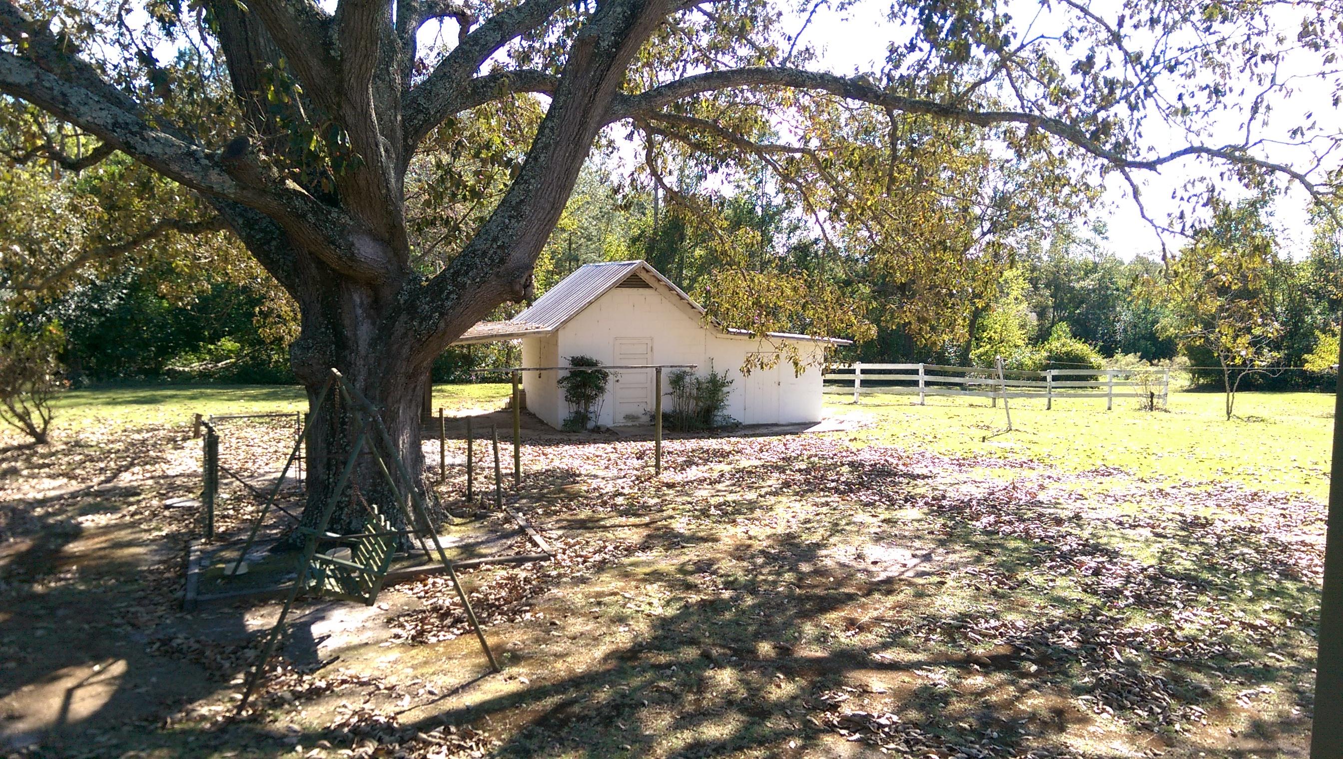 59 State Rd S-9-157 Cameron, SC 29030 - Photo 22 of 26 IMAG2770