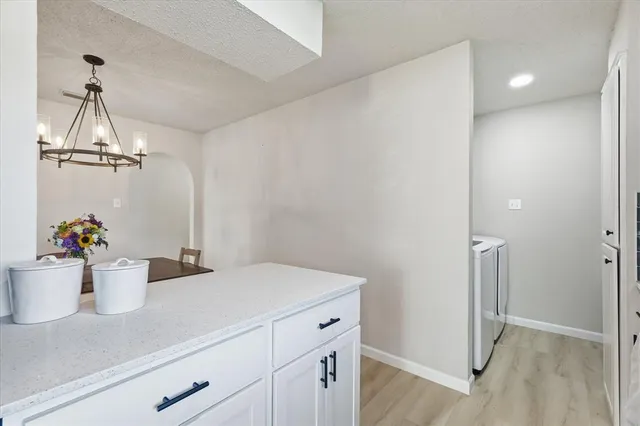 a view of a cabinet and a potted plant in kitchen
