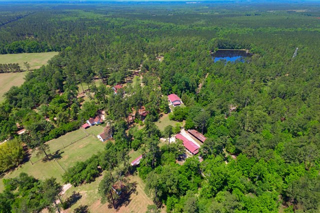 11864 Burtons Ferry Martin, SC 29836 - Photo 6 of 46