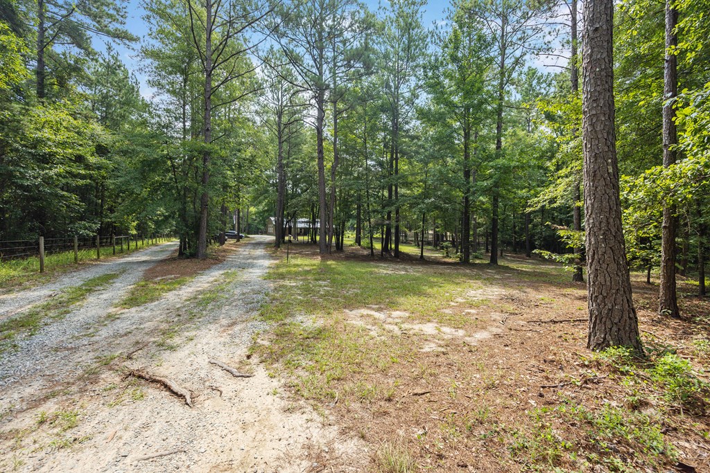 276 Waverly Hall Road Box Springs, GA 31801 - Photo 95 of 95