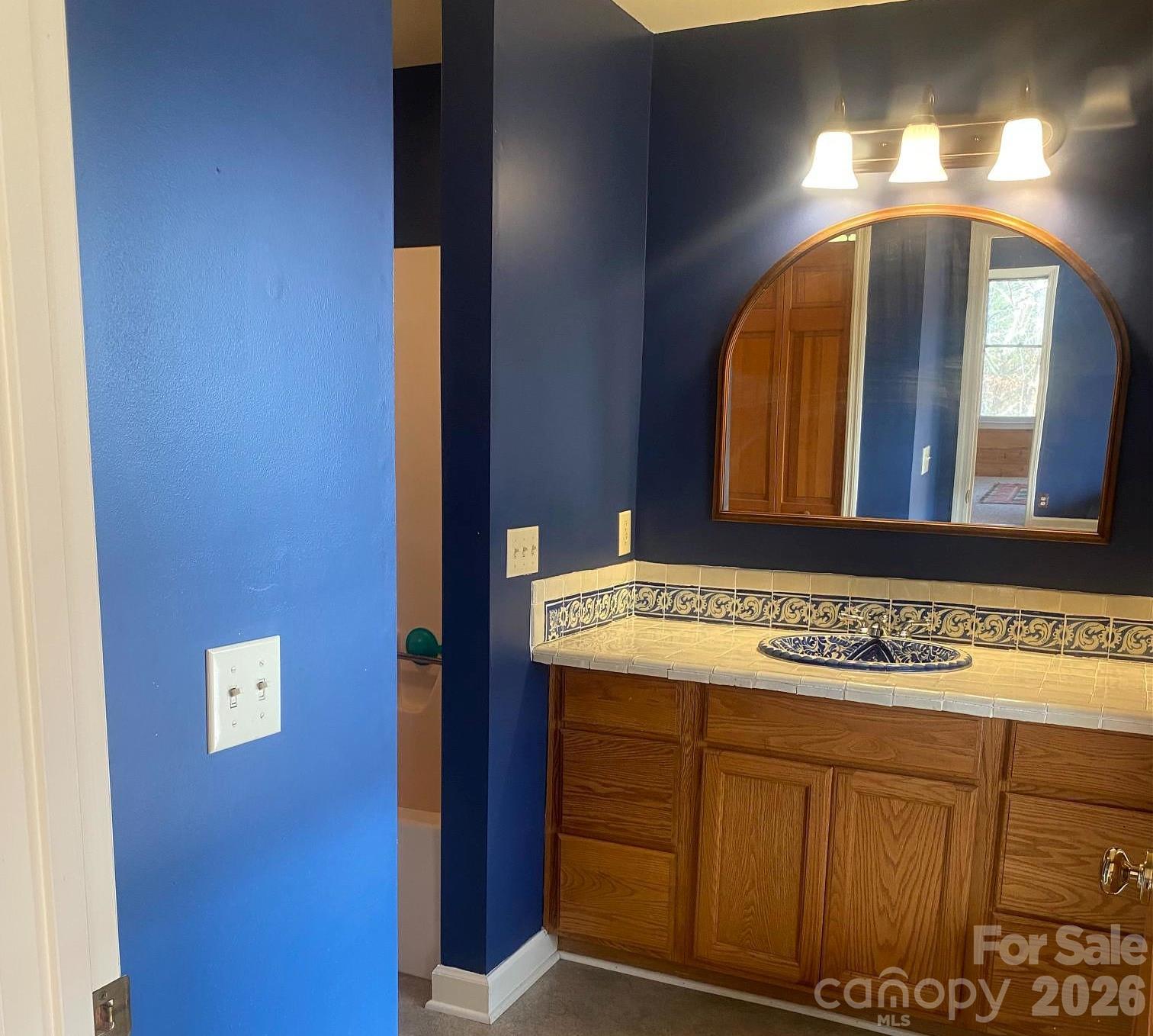 3205 Collinsville Road Columbus, NC 28722 - Photo 19 of 45