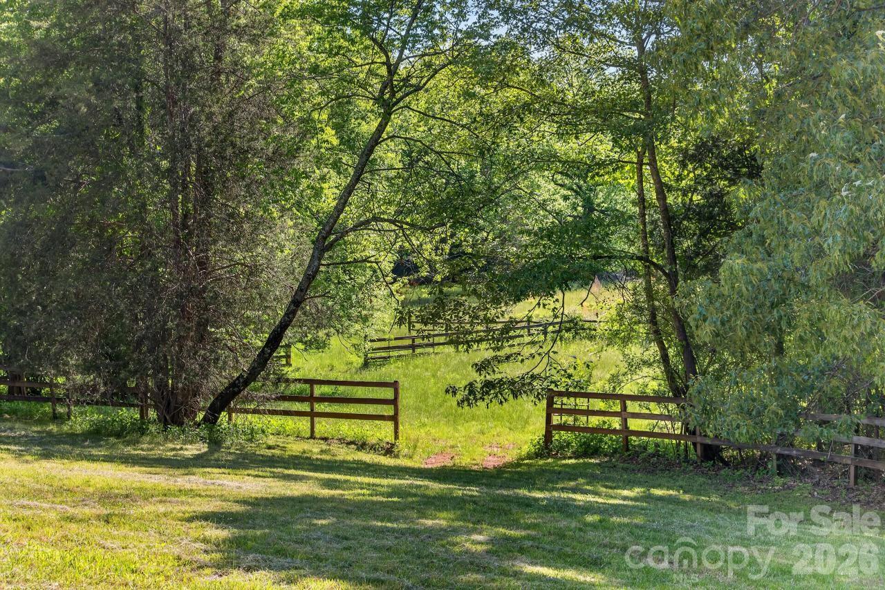3205 Collinsville Road Columbus, NC 28722 - Photo 22 of 45