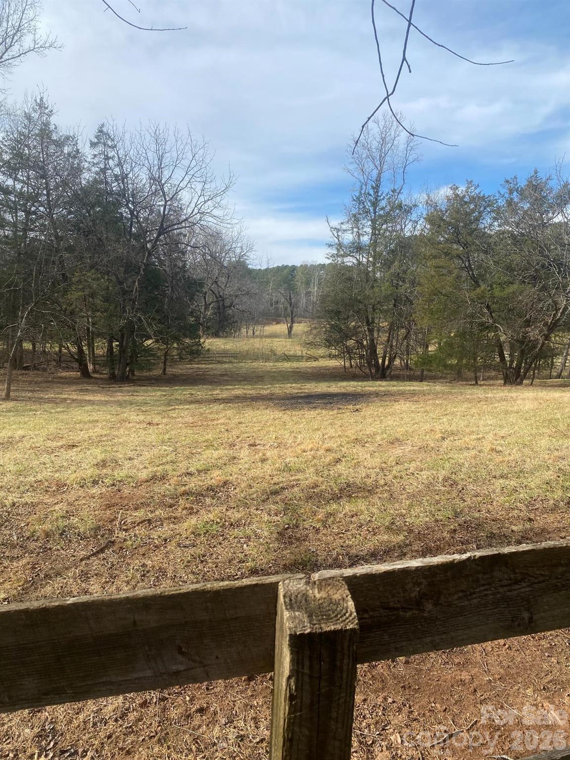 3205 Collinsville Road Columbus, NC 28722 - Photo 29 of 45