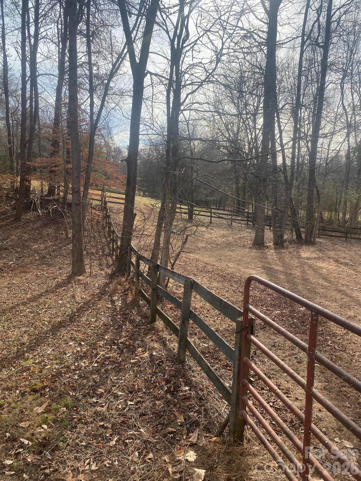 3205 Collinsville Road Columbus, NC 28722 - Photo 31 of 45