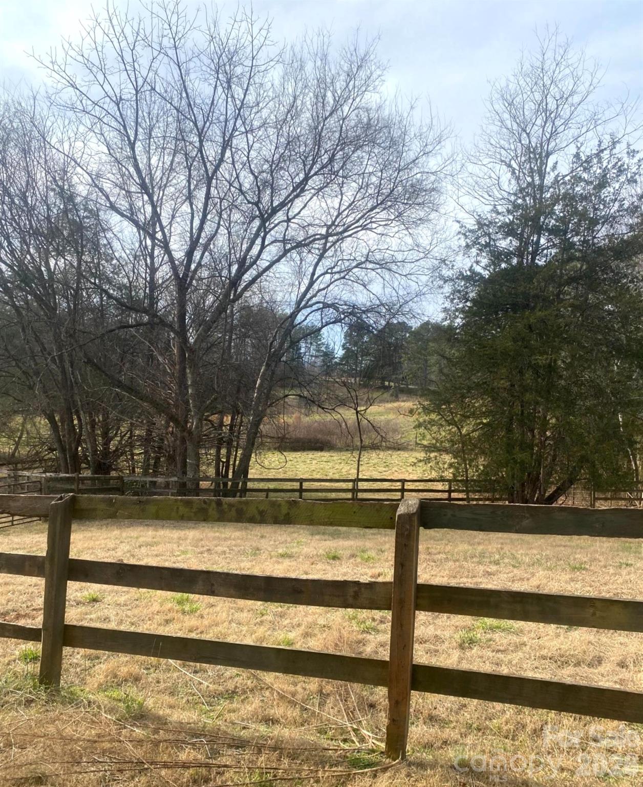 3205 Collinsville Road Columbus, NC 28722 - Photo 32 of 45