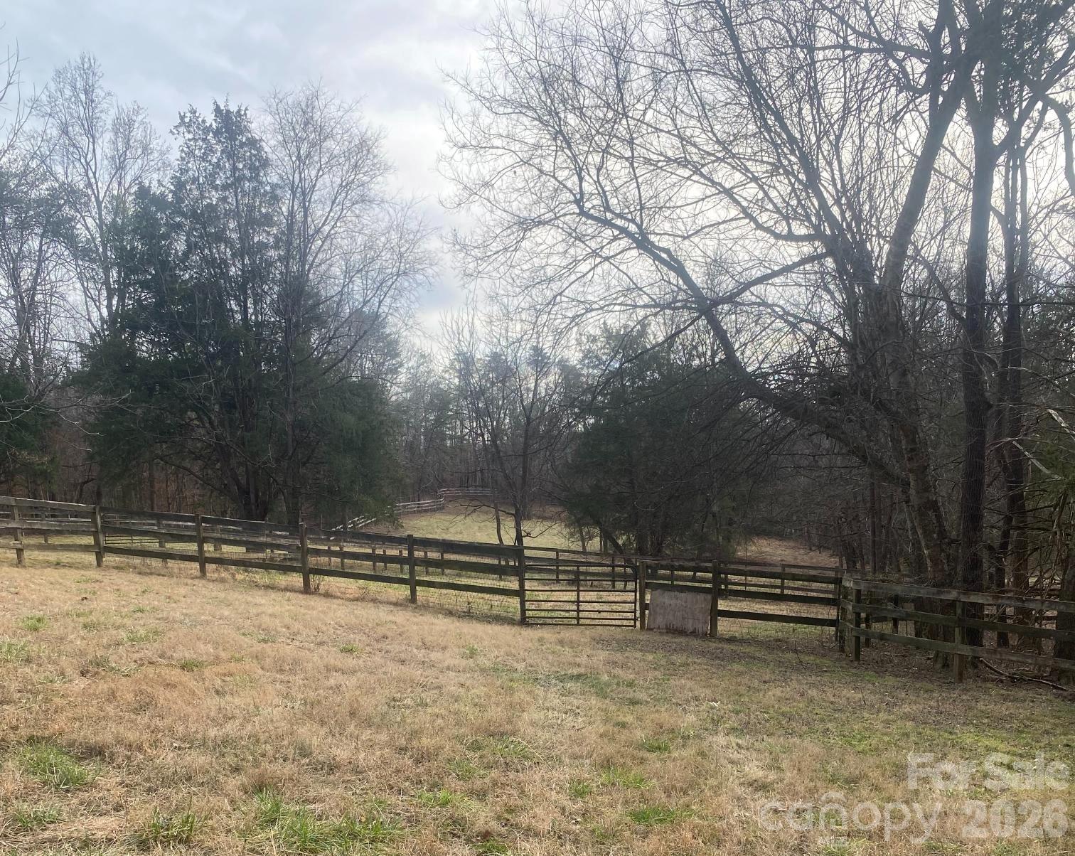 3205 Collinsville Road Columbus, NC 28722 - Photo 35 of 45