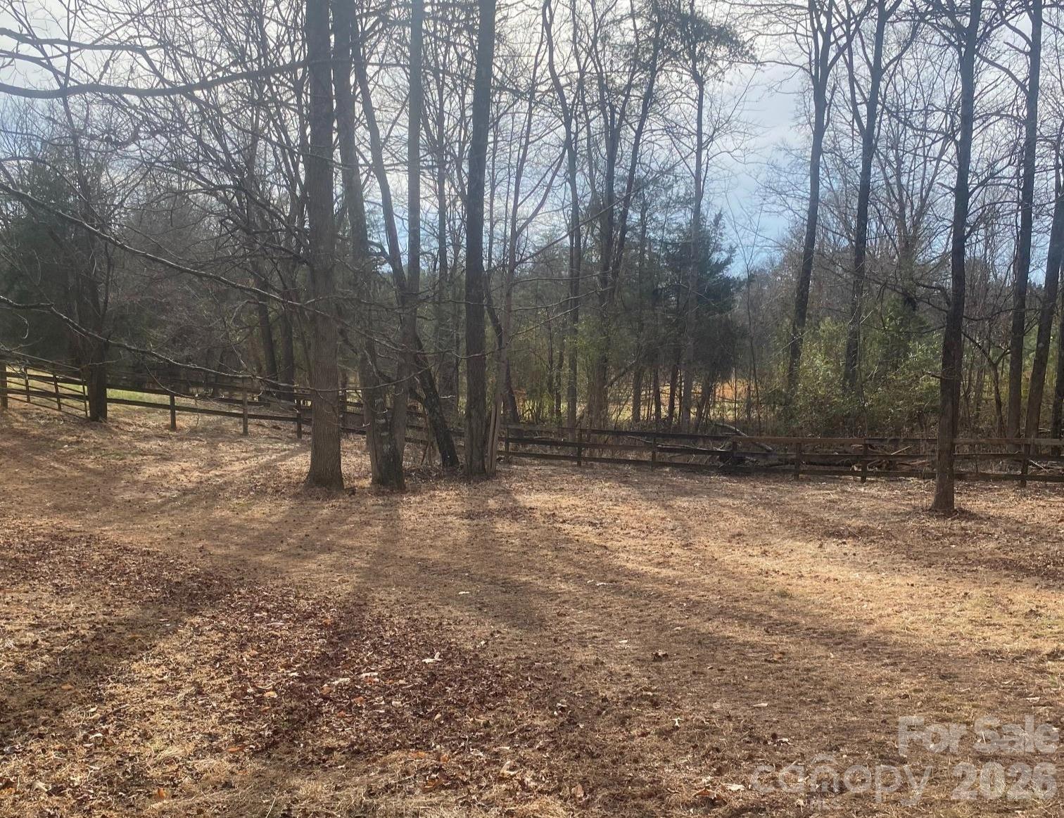 3205 Collinsville Road Columbus, NC 28722 - Photo 37 of 45