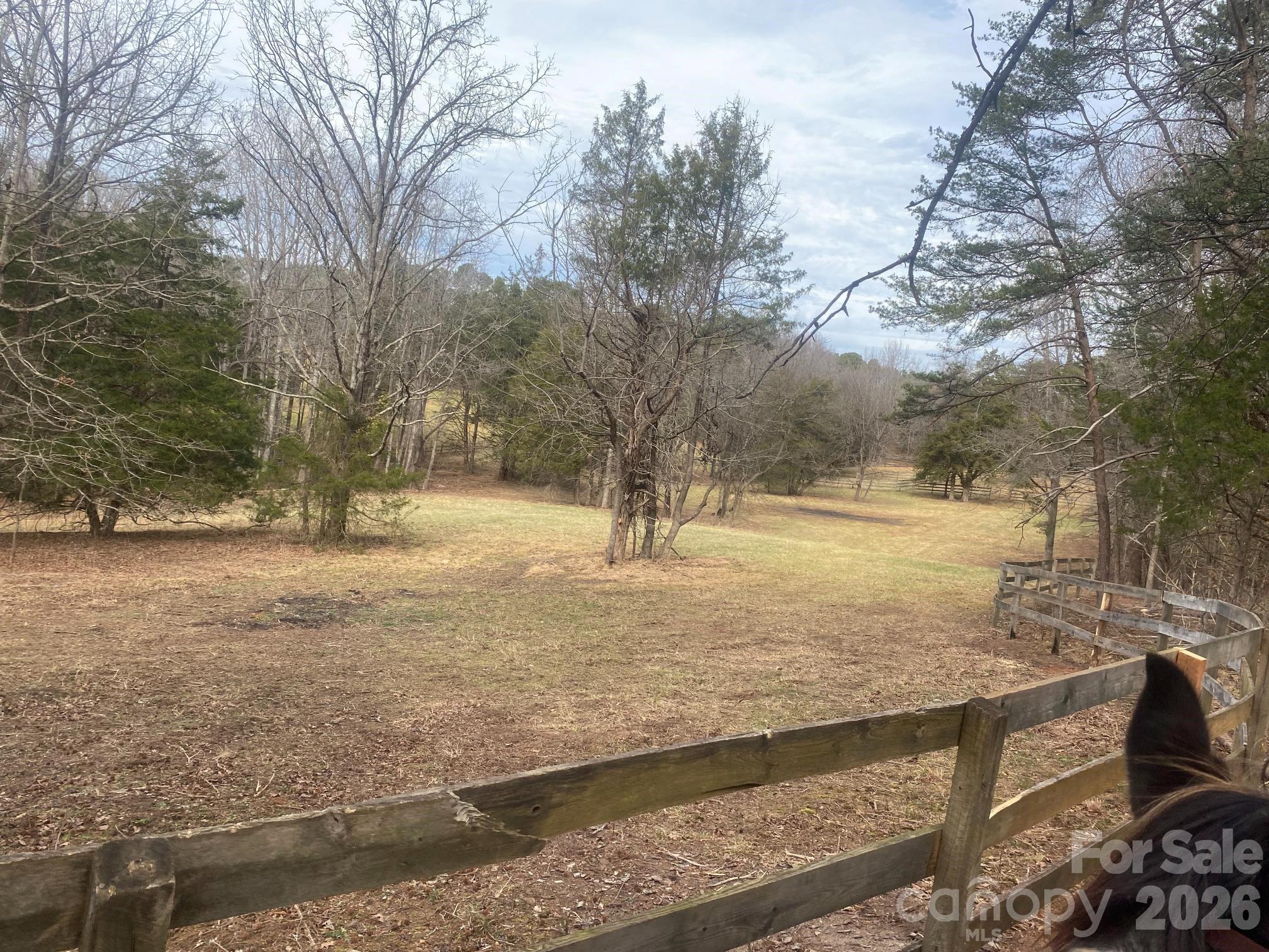 3205 Collinsville Road Columbus, NC 28722 - Photo 40 of 45