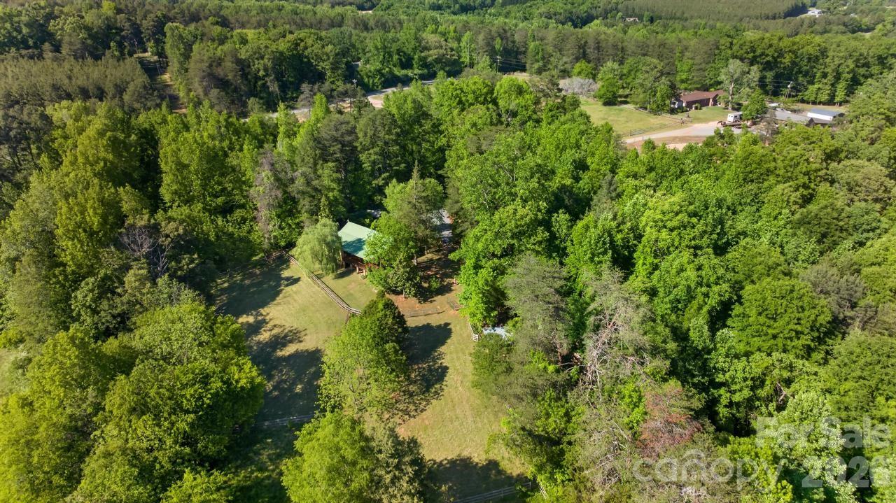 3205 Collinsville Road Columbus, NC 28722 - Photo 41 of 45