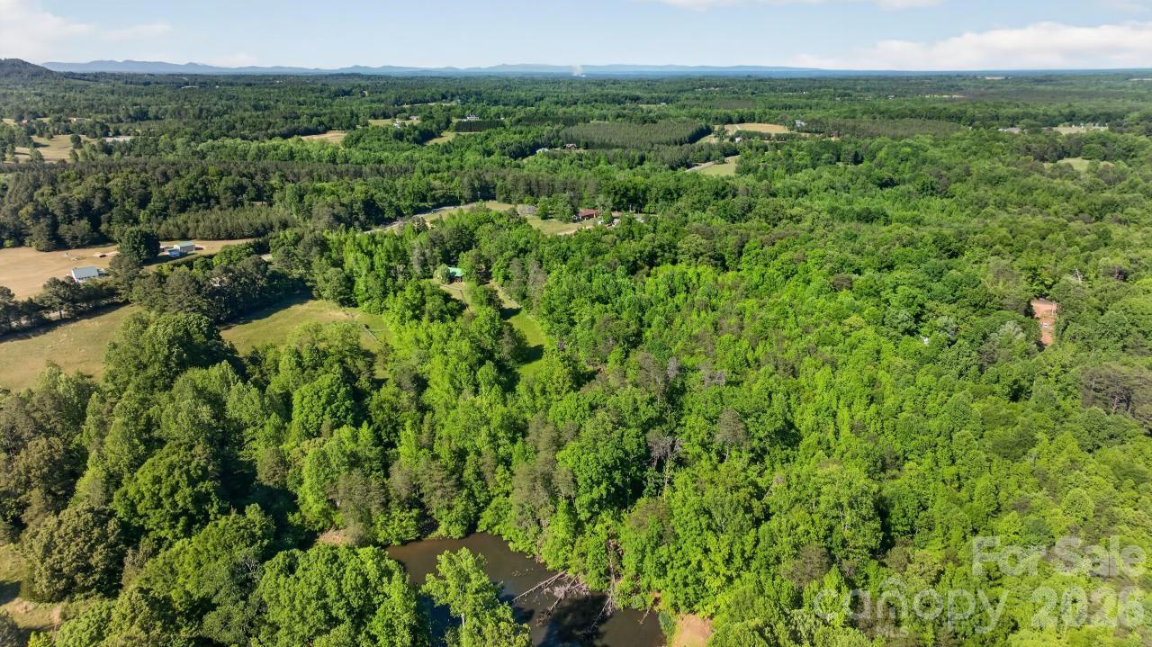 3205 Collinsville Road Columbus, NC 28722 - Photo 44 of 45