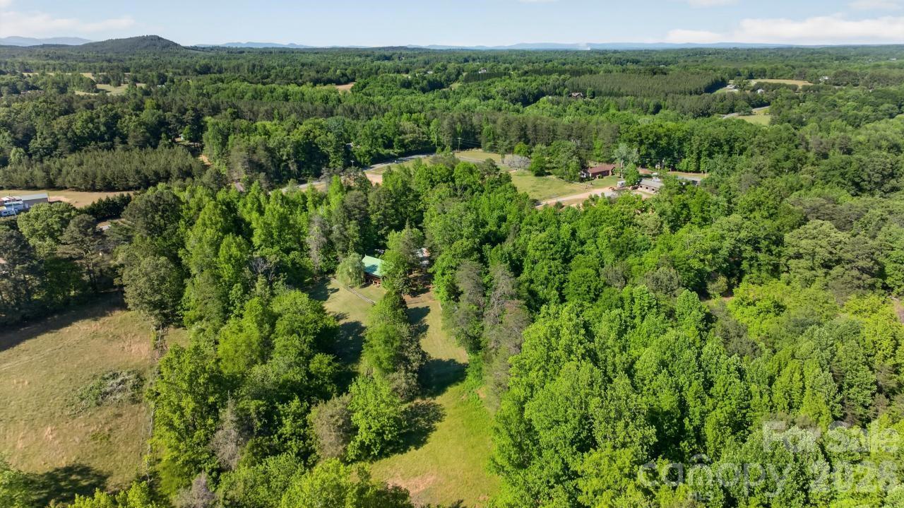 3205 Collinsville Road Columbus, NC 28722 - Photo 45 of 45