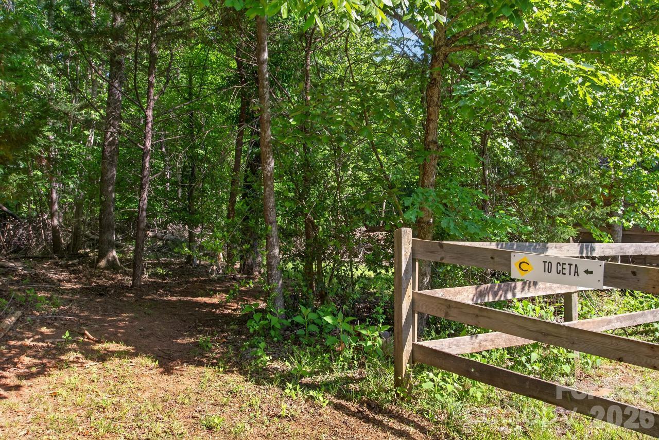 3205 Collinsville Road Columbus, NC 28722 - Photo 5 of 45