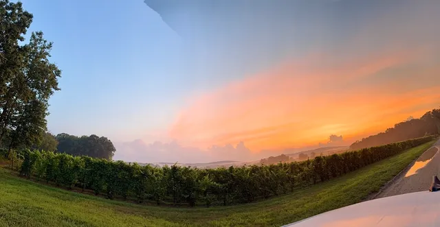 a view of outdoor space with deck and yard