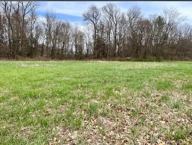 a view of field with tall trees