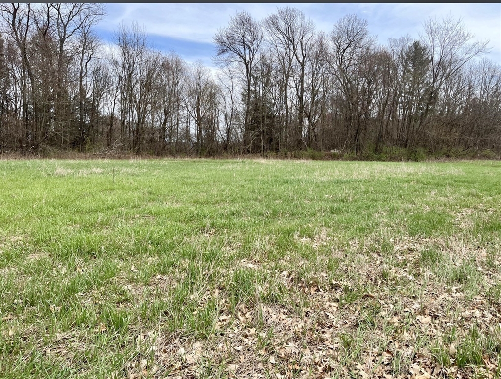 0 Straits Road Hatfield, MA 01038 - Photo 7 of 10 a view of outdoor space with deck and yard