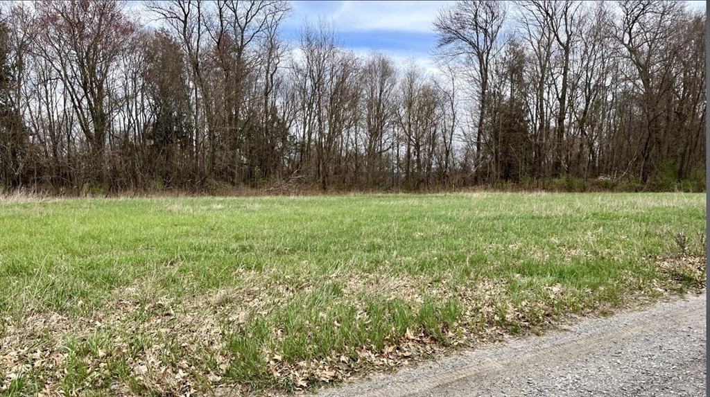 0 Straits Road Hatfield, MA 01038 - Photo 8 of 10 a view of field with tall trees