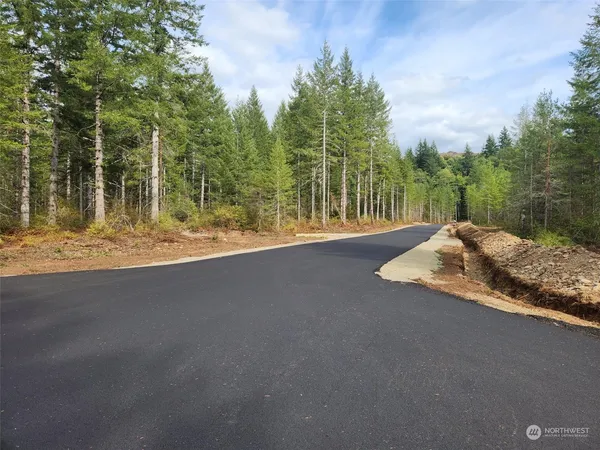 a view of a road with trees in the background