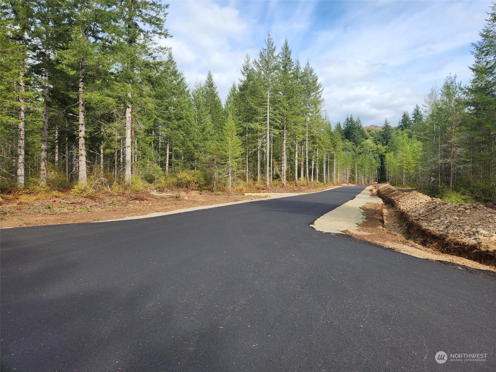 0 Lot 1 Div Elma, WA 98541 - Photo 2 of 9 a view of a road with trees in the background