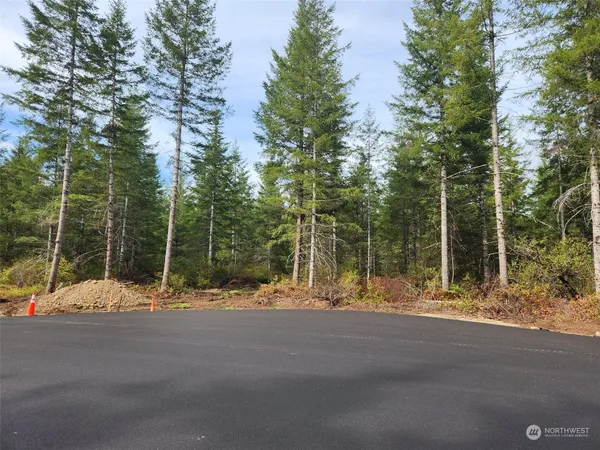a the road covered with trees