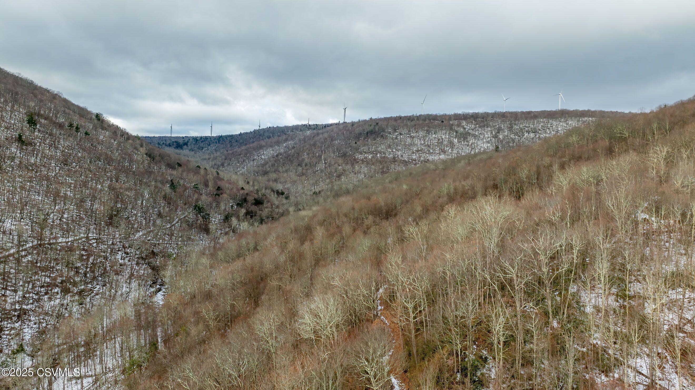 Root Hollow Road Mehoopany, PA 18629 - Photo 8 of 24 Gallery Image 8