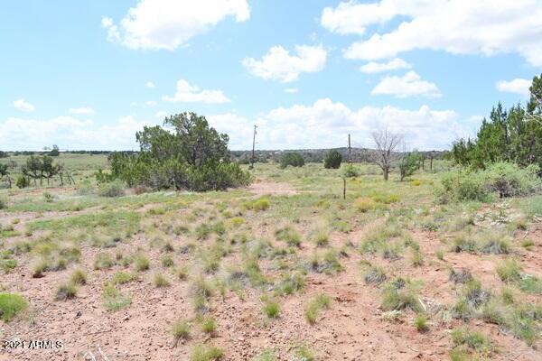 5488 County Line Road Snowflake, AZ 85937 - Photo 15 of 42 5488 County Line Rd 015