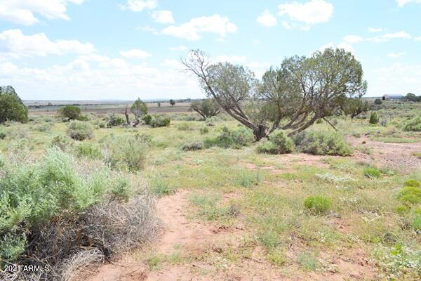5488 County Line Road Snowflake, AZ 85937 - Photo 16 of 42 5488 County Line Rd 016
