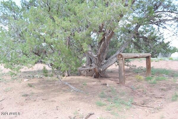 5488 County Line Road Snowflake, AZ 85937 - Photo 20 of 42 5488 County Line Rd 021