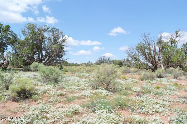 5488 County Line Road Snowflake, AZ 85937 - Photo 24 of 42 5488 County Line Rd 026