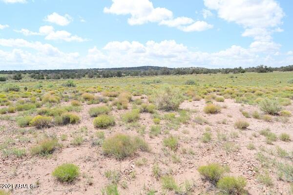 5488 County Line Road Snowflake, AZ 85937 - Photo 25 of 42 5488 County Line Rd 027