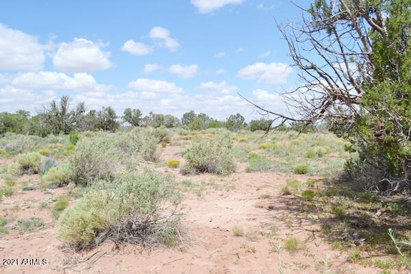 5488 County Line Road Snowflake, AZ 85937 - Photo 29 of 42 5488 County Line Rd 033