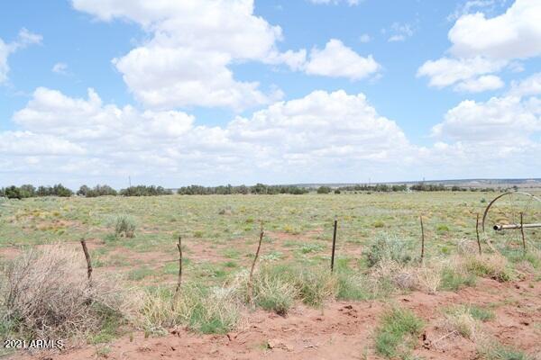 5488 County Line Road Snowflake, AZ 85937 - Photo 40 of 42 5488 County Line Rd 050