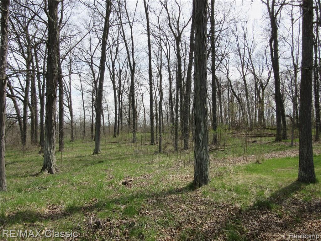 5 Foldenauer Drive Howell, MI 48843 - Photo 4 of 8