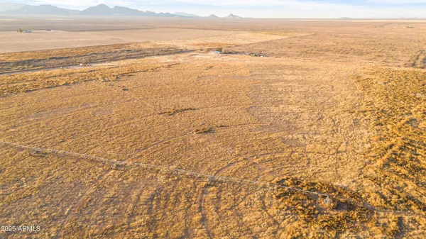a view of a dry yard with lots of trees