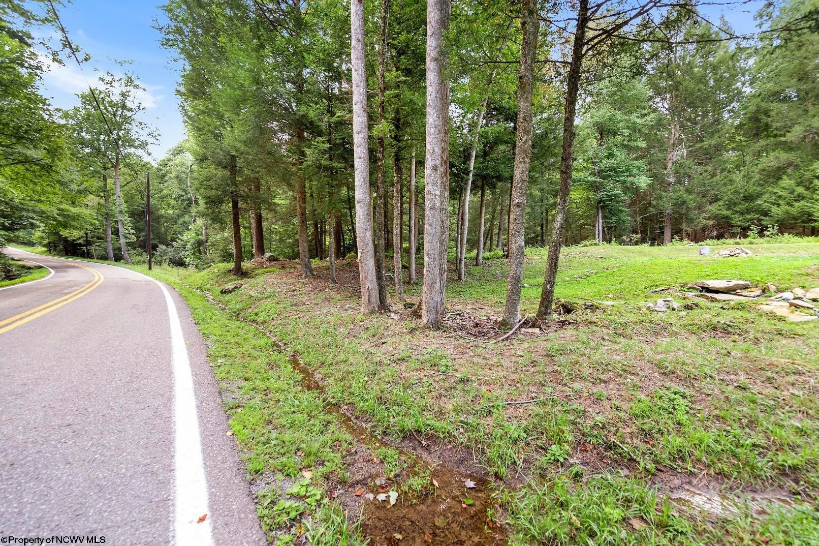 10455 Alexander Road French Creek, WV 26218 - Photo 15 of 50 Gallery Image 15
