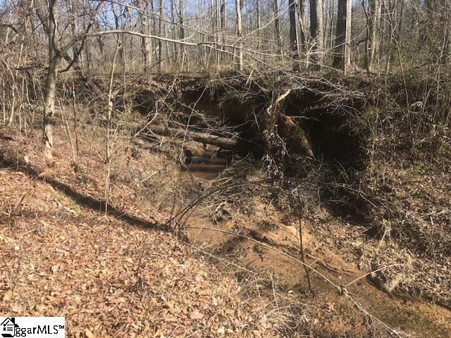 899 Browning Road Enoree, SC 29335 - Photo 16 of 28