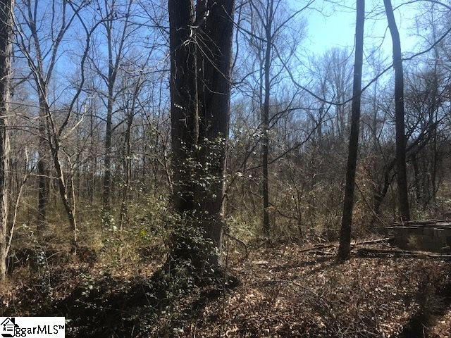 899 Browning Road Enoree, SC 29335 - Photo 20 of 28