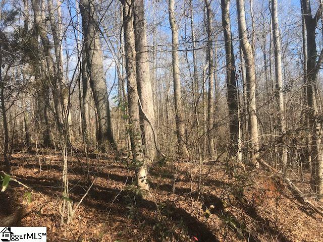 899 Browning Road Enoree, SC 29335 - Photo 21 of 28