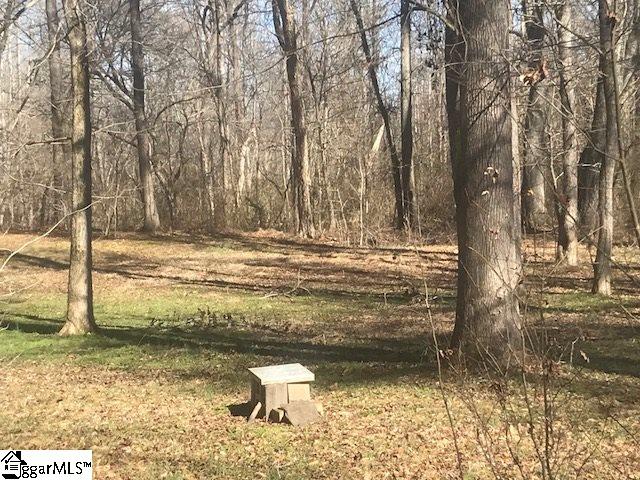899 Browning Road Enoree, SC 29335 - Photo 8 of 28