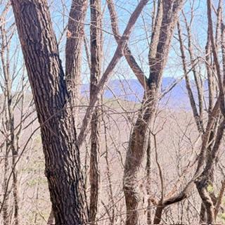 Na Na Pettit Ridge Road Ellijay, GA 30536 - Photo 1 of 11 Main View