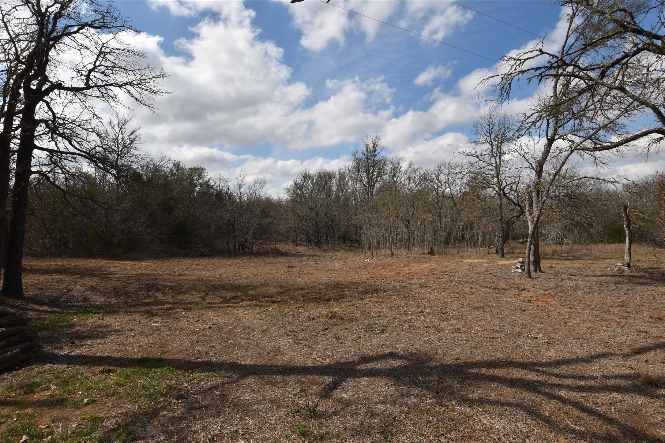 687 Fm 812 Road Red Rock, TX 78662 - Photo 28 of 40 View of local wilderness