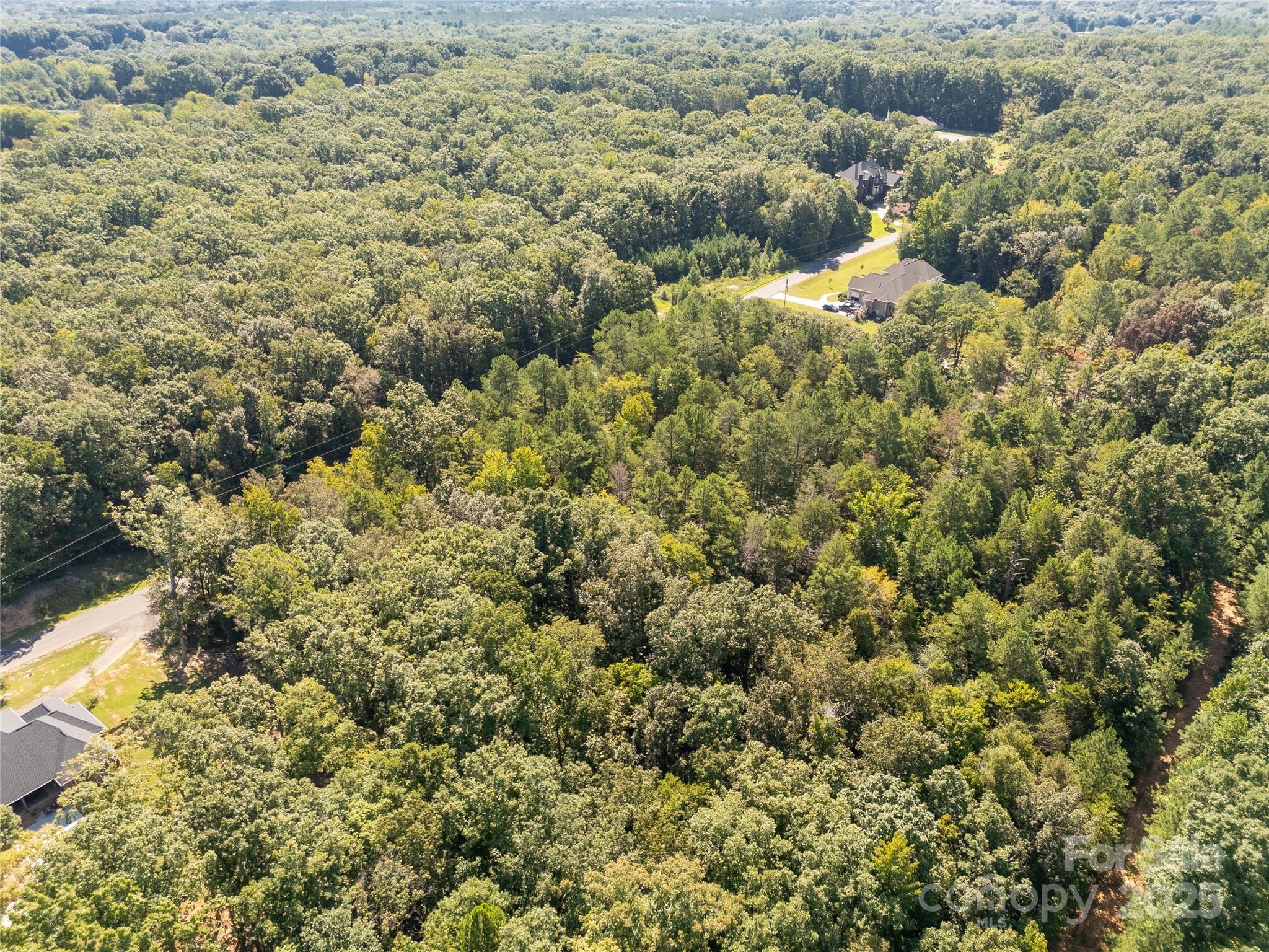 0 Greyfox Estates Road, Unit 25 Lancaster, SC 29720 - Photo 4 of 6 a view of a forest with a houses