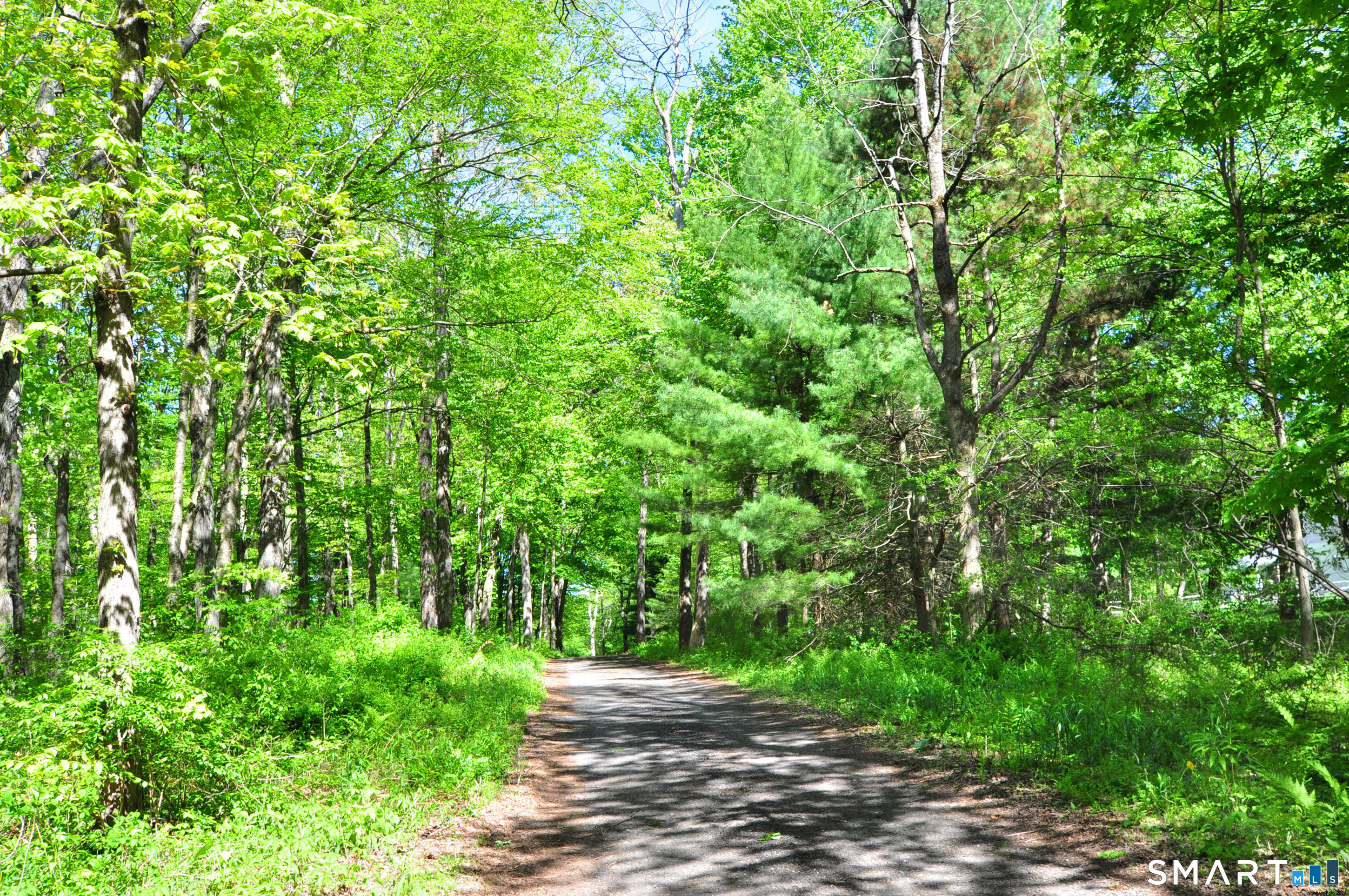 63 Shearer Road Washington, CT 06793 - Photo 40 of 40