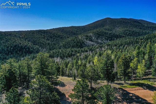 1100 Elk Ridge South Divide, CO 80814 - Photo 31 of 34