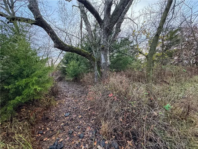 $573,300 | 88.2 Hwy Bb, Versailles, MO 65084