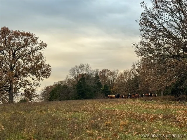 $573,300 | 88.2 Hwy Bb, Versailles, MO 65084