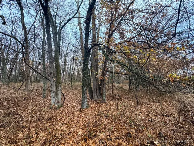 $573,300 | 88.2 Hwy Bb, Versailles, MO 65084