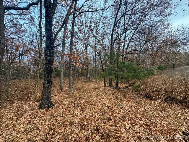 $573,300 | 88.2 Hwy Bb, Versailles, MO 65084